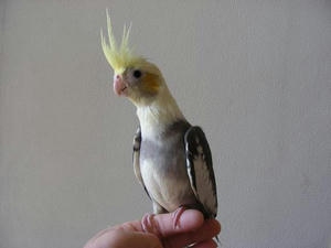 DSCN4519.JPG