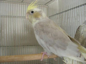 DSCN4670.JPG