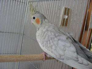 DSCN4698.JPG
