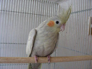 DSCN4699.JPG