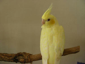 DSCN16431.JPG