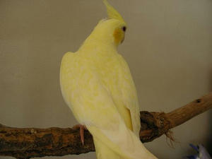 DSCN16441.JPG