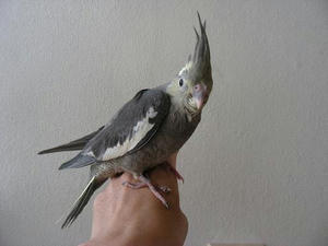 DSCN4749.JPG