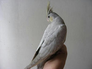 DSCN4767.JPG