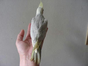 DSCN4768.JPG