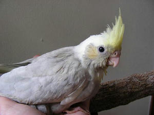 DSCN4777.JPG