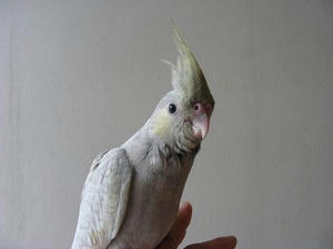 DSCN4764.JPG