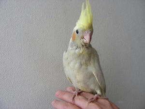 DSCN4840.JPG