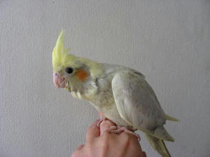 DSCN4843.JPG