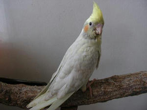 DSCN4844.JPG