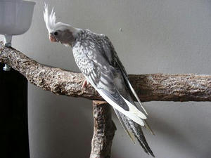 DSCN4783.JPG