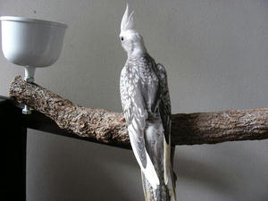 DSCN4781.JPG