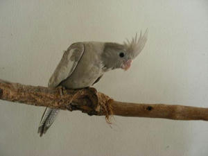 DSCN4870.JPG
