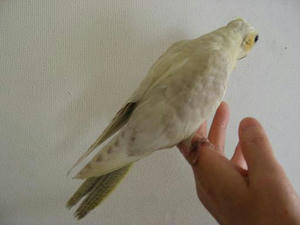 DSCN4881.JPG