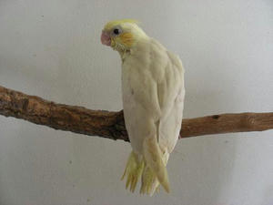 DSCN4897.JPG