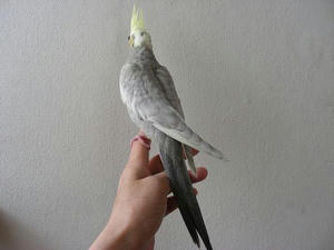DSCN4905.JPG
