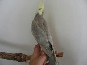 DSCN4920.JPG