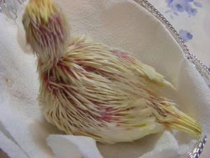 DSCN4998.JPG