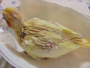 DSCN5012.JPG