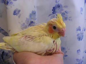 DSCN5031.JPG