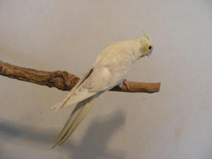 DSCN5044.JPG
