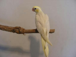 DSCN5053.JPG