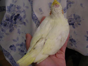 DSCN5074.JPG