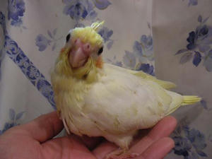 DSCN5080.JPG