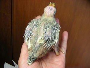 DSCN5530.JPG