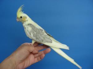 DSCN5364.JPG