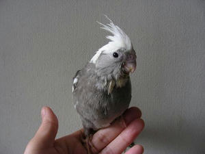 DSCN5637.JPG