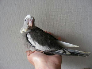 DSCN5638.JPG