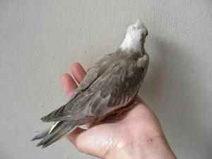 DSCN5640.JPG