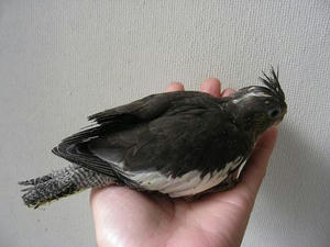 DSCN5642.JPG