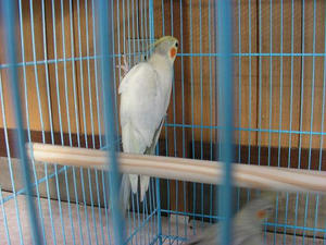 DSCN5659.JPG