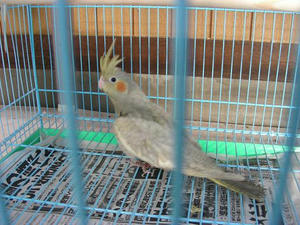 DSCN5661.JPG