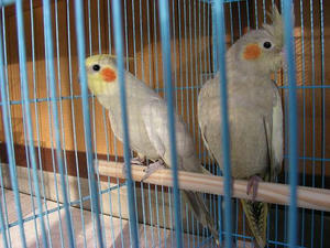 DSCN5667.JPG