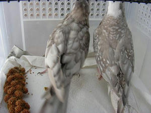 DSCN5730.JPG