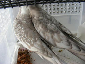 DSCN5725.JPG