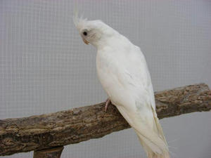 DSCN5750.JPG