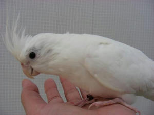 DSCN5754.JPG