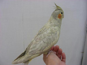 DSCN5760.JPG
