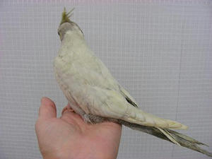 DSCN5766.JPG