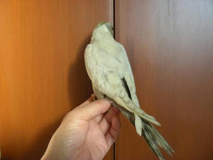 DSCN5788.JPG