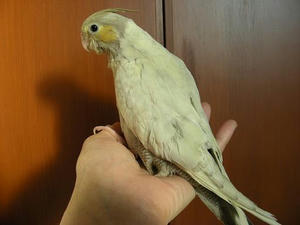 DSCN5791.JPG