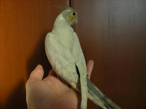 DSCN5792.JPG
