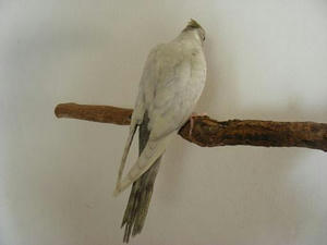 DSCN5794.JPG