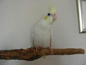 DSCN5814.JPG