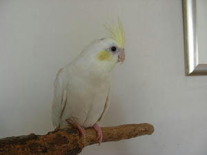 DSCN5815.JPG