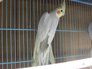 DSCN5824.JPG